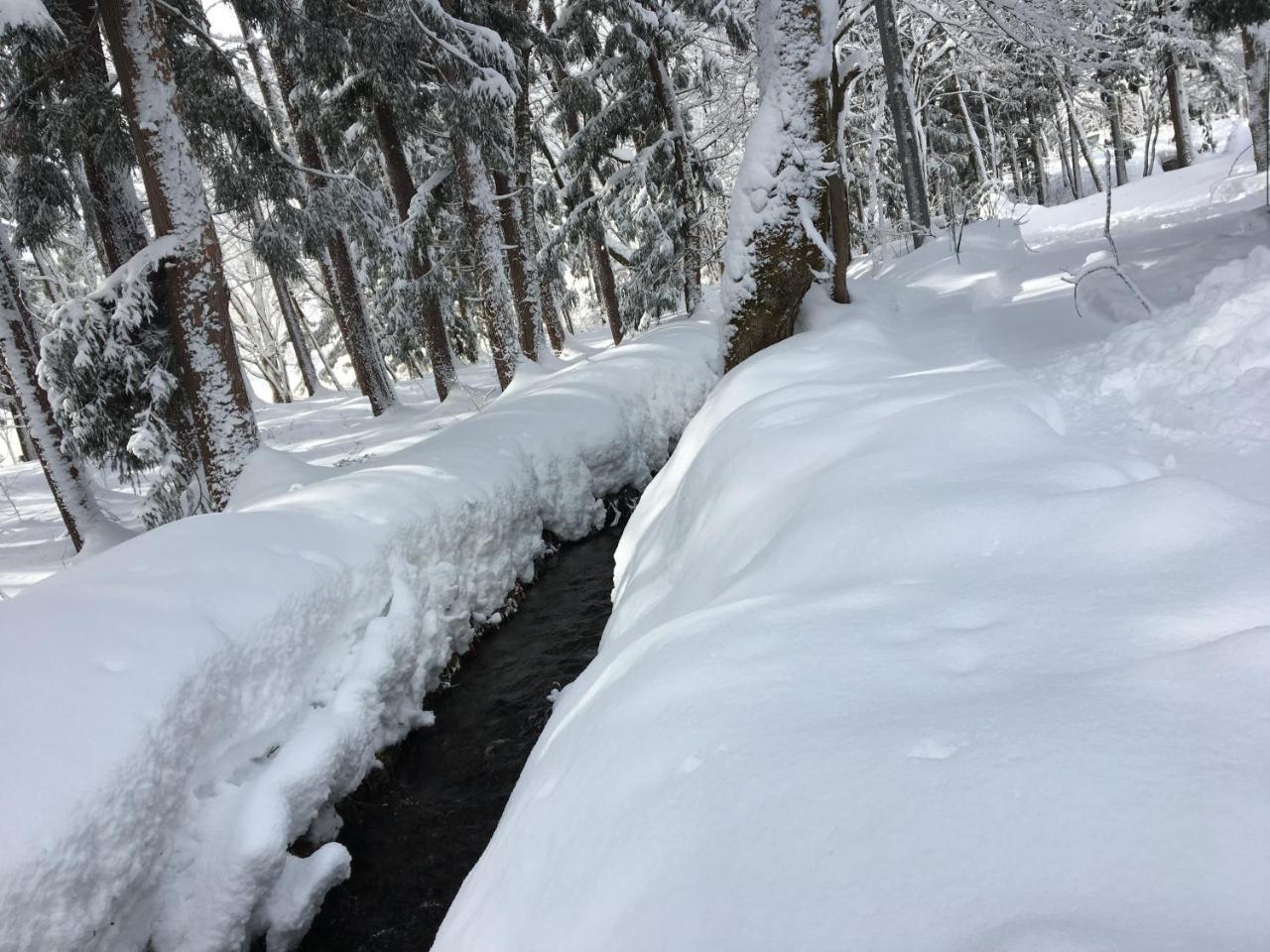 Gram Hakuba
